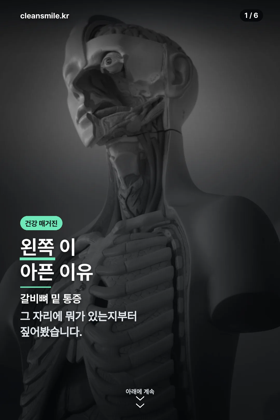 왼쪽 갈비뼈 통증 표지