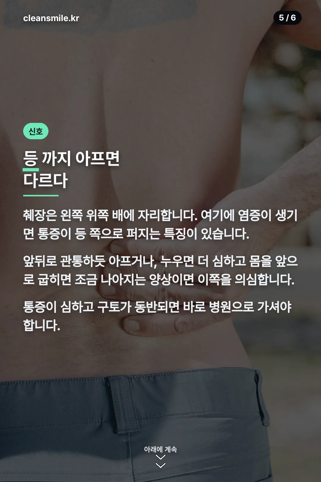 췌장 신호