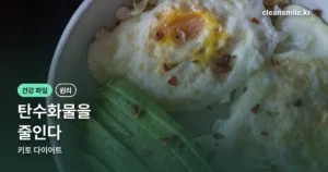 임지연 키토다이어트 정리 썸네일