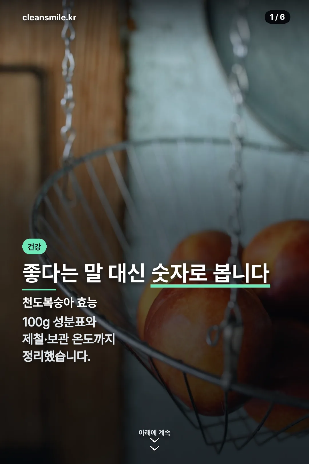 천도복숭아 효능 표지