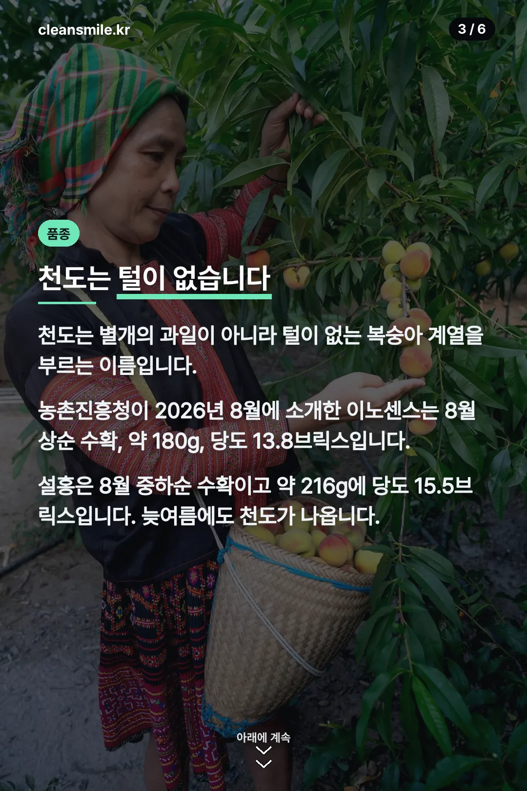 품종과 제철