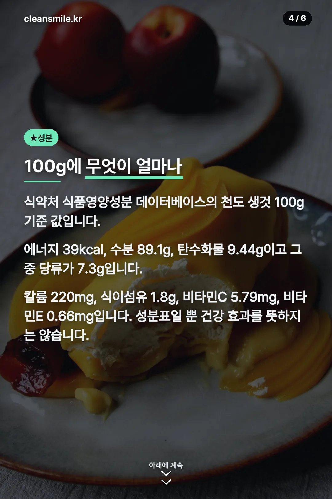 100g 영양성분