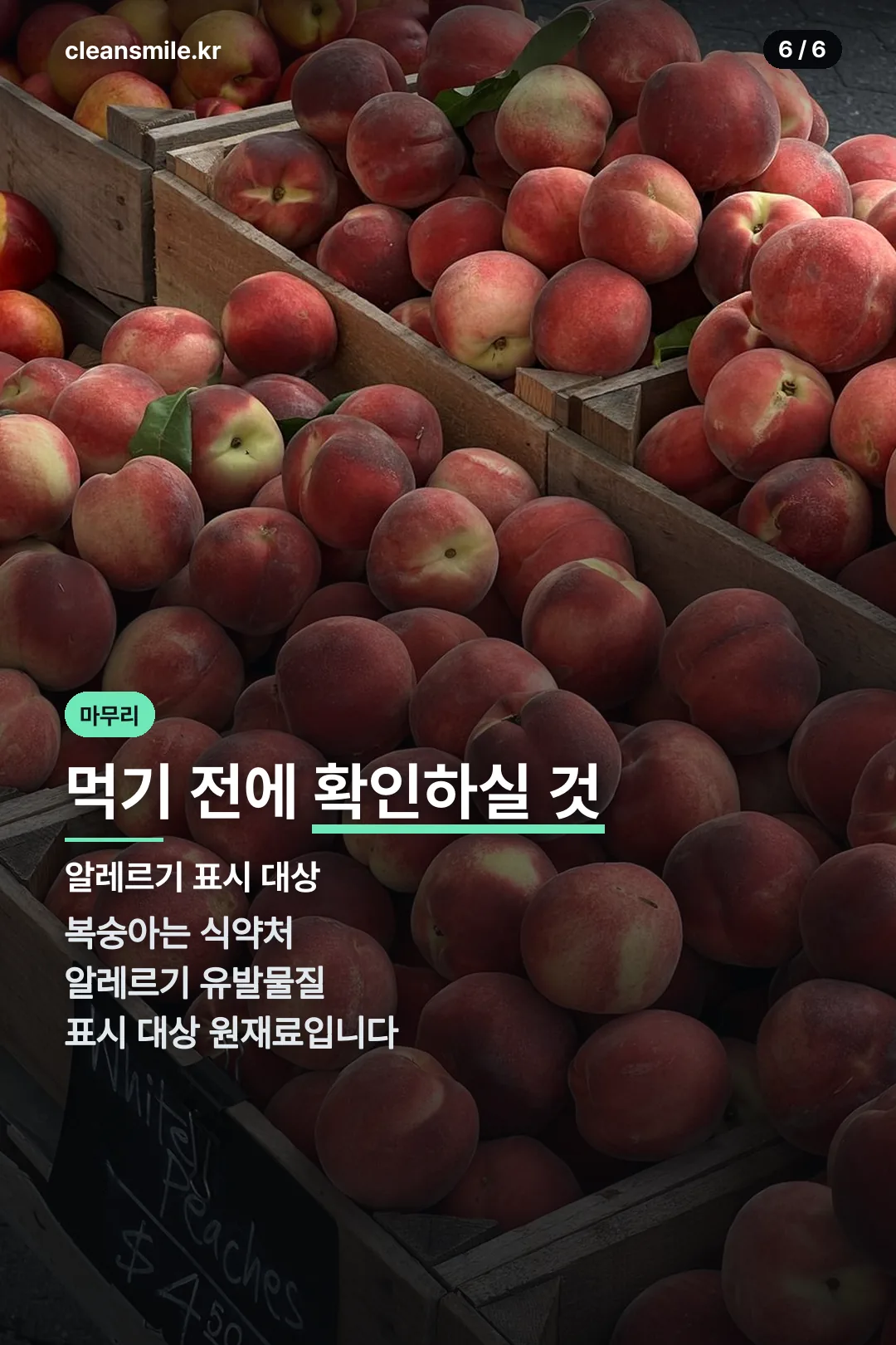 알레르기 주의