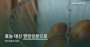 천도복숭아 효능 정리 썸네일