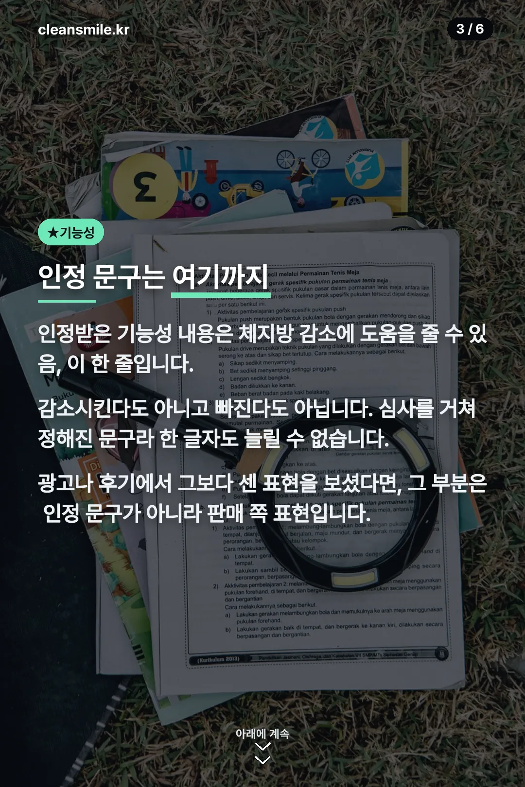 인정 기능성 문구