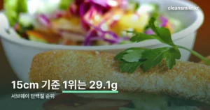 서브웨이 단백질 순위 정리 썸네일