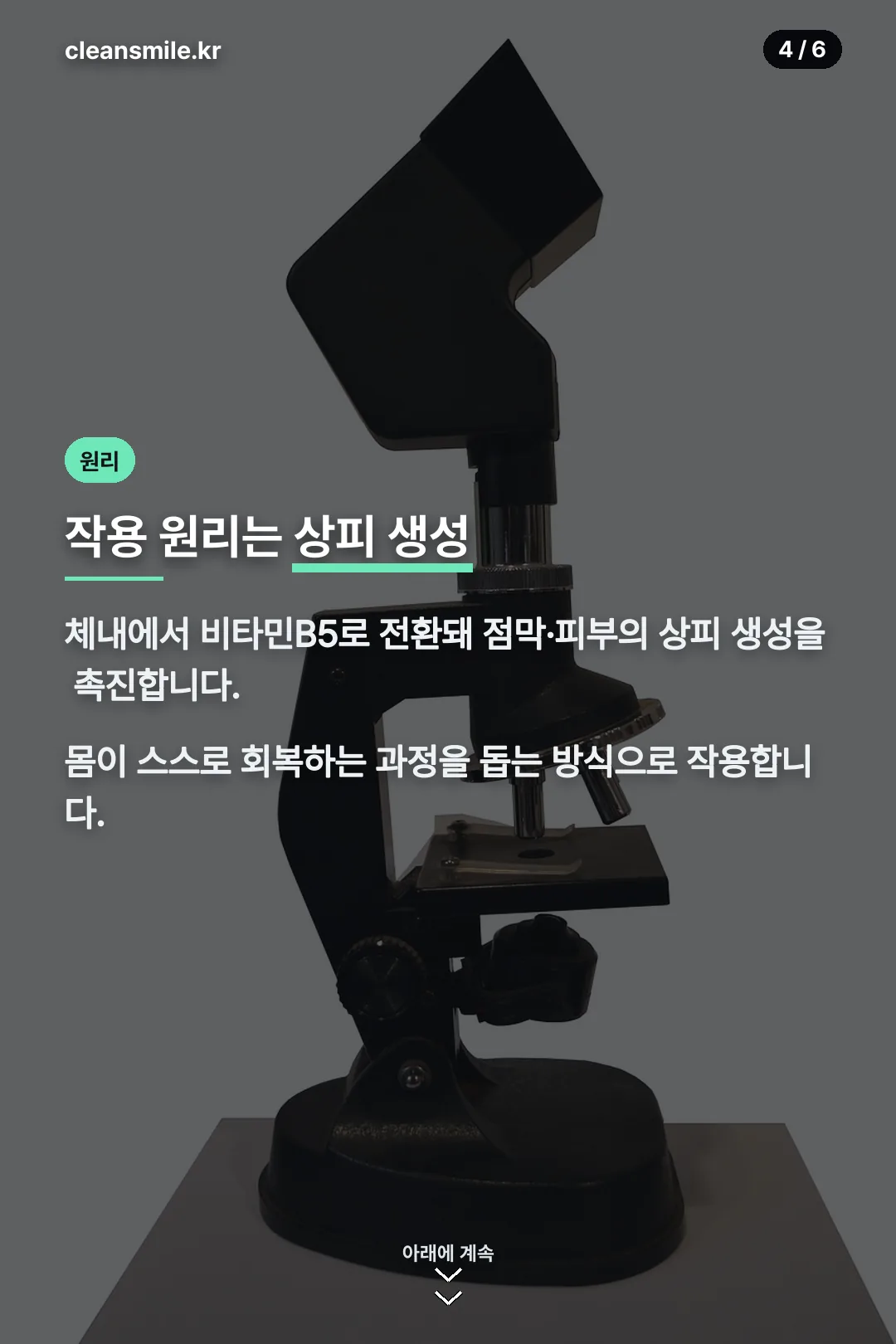 작용 원리 안내