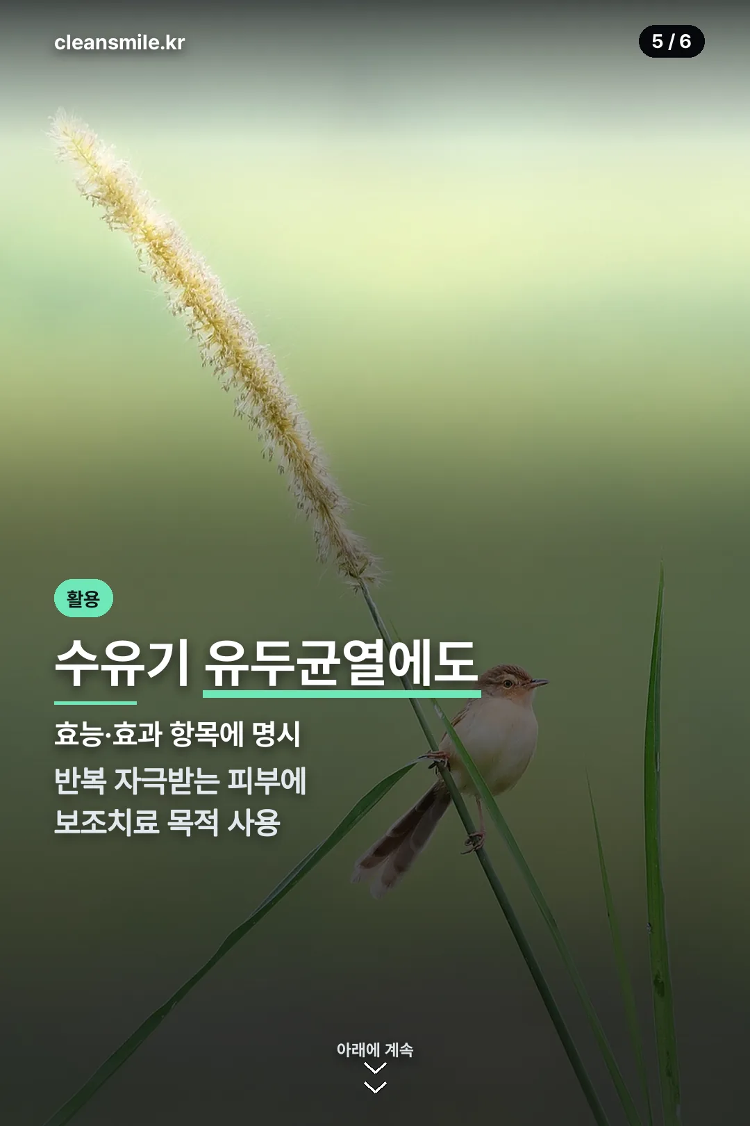 수유기 활용