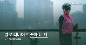 칼로 리바이크 정리 썸네일