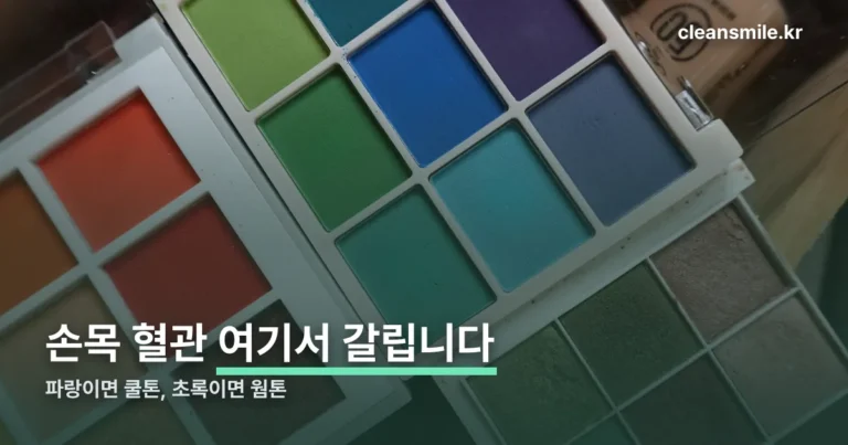 웜톤 쿨톤 정리 썸네일