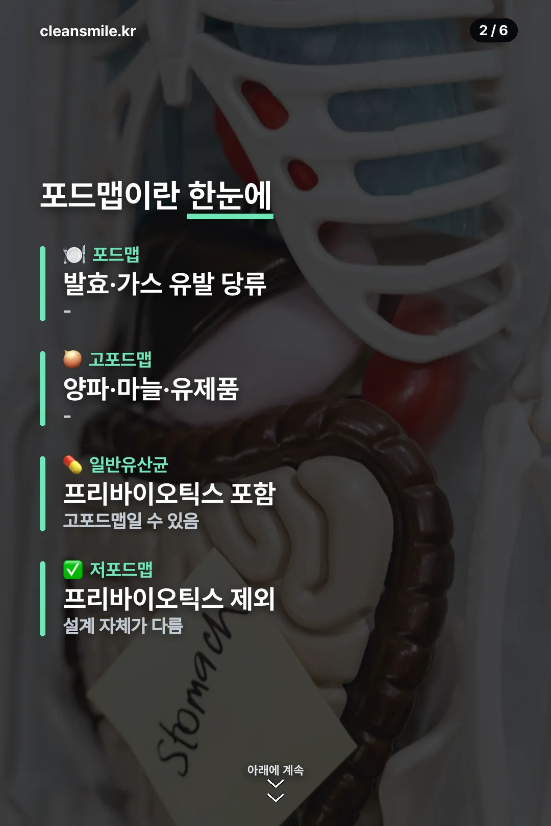 포드맵 정보 한눈에