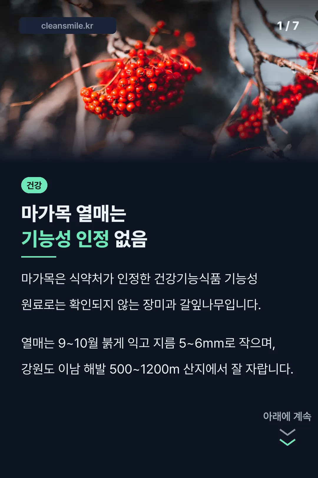 마가목 열매는 기능성 인정 없음