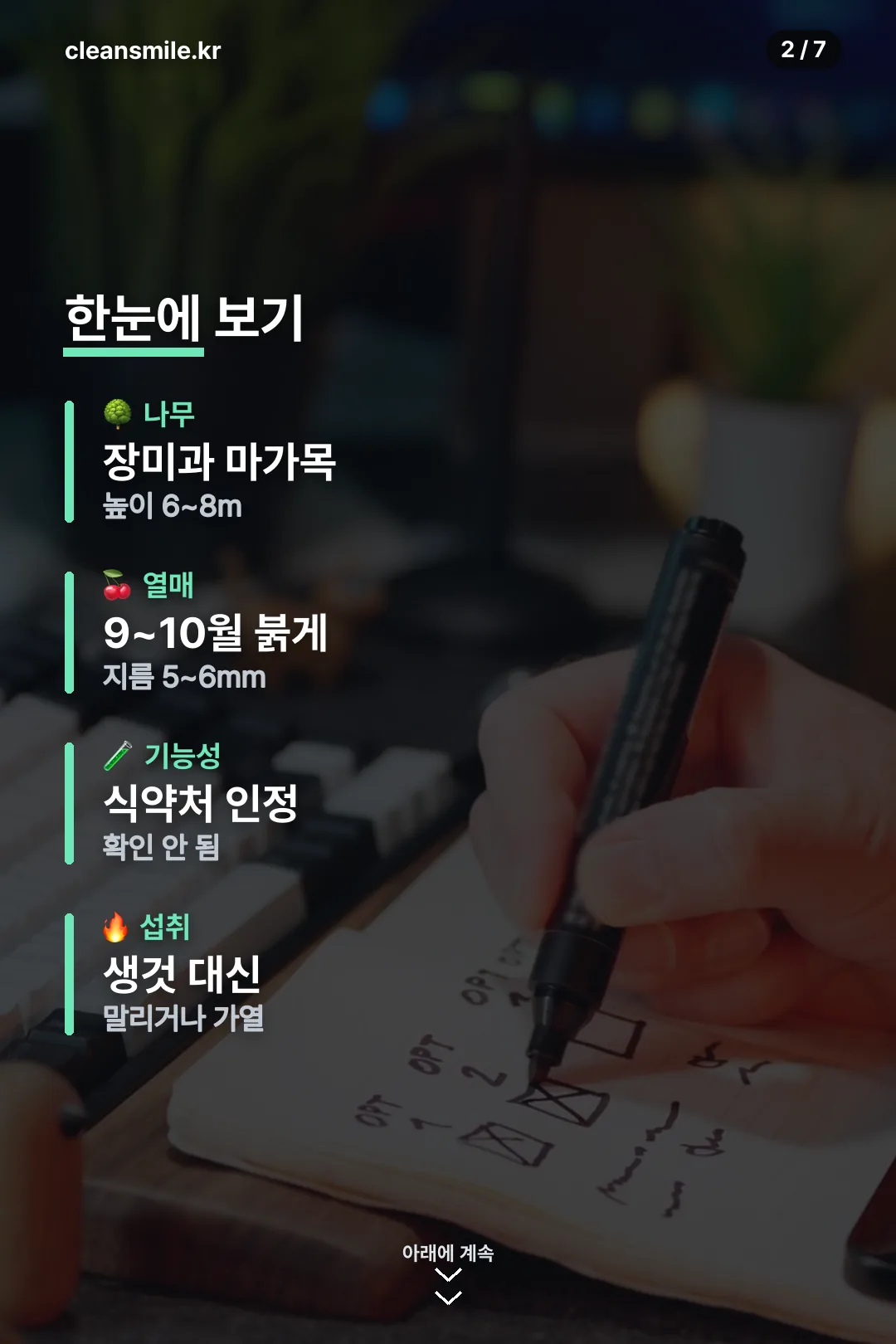 마가목 한눈에 요약
