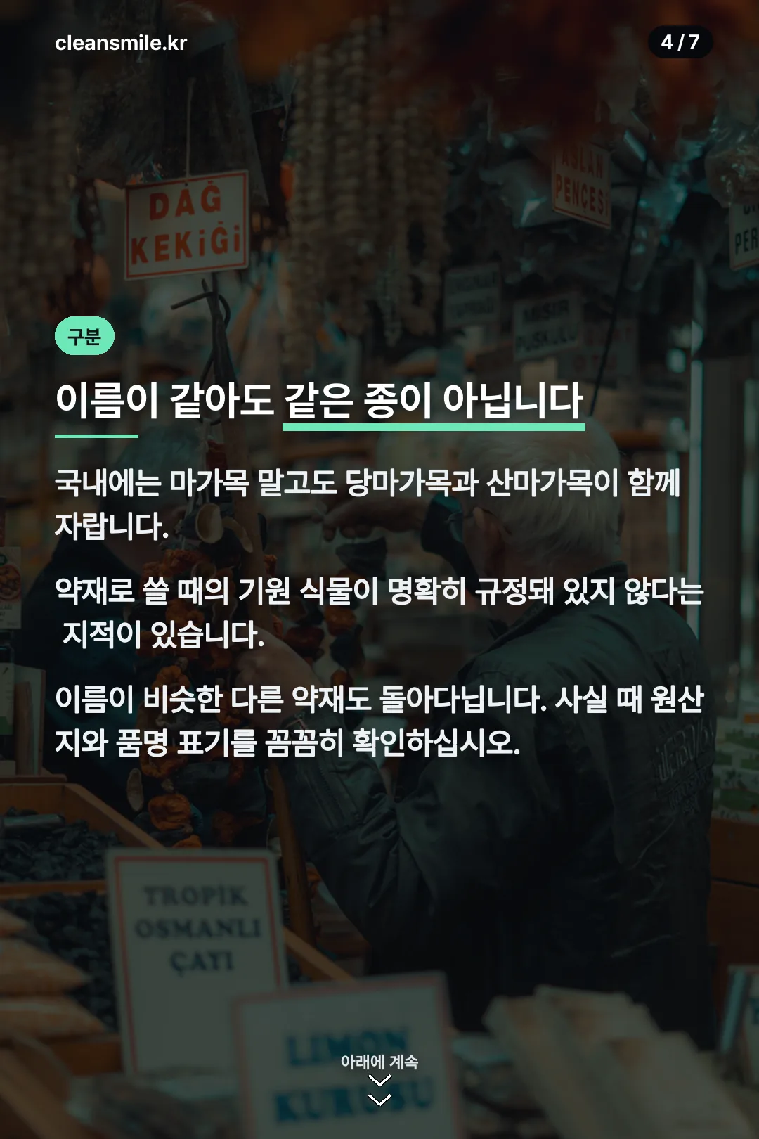 비슷한 종 구분