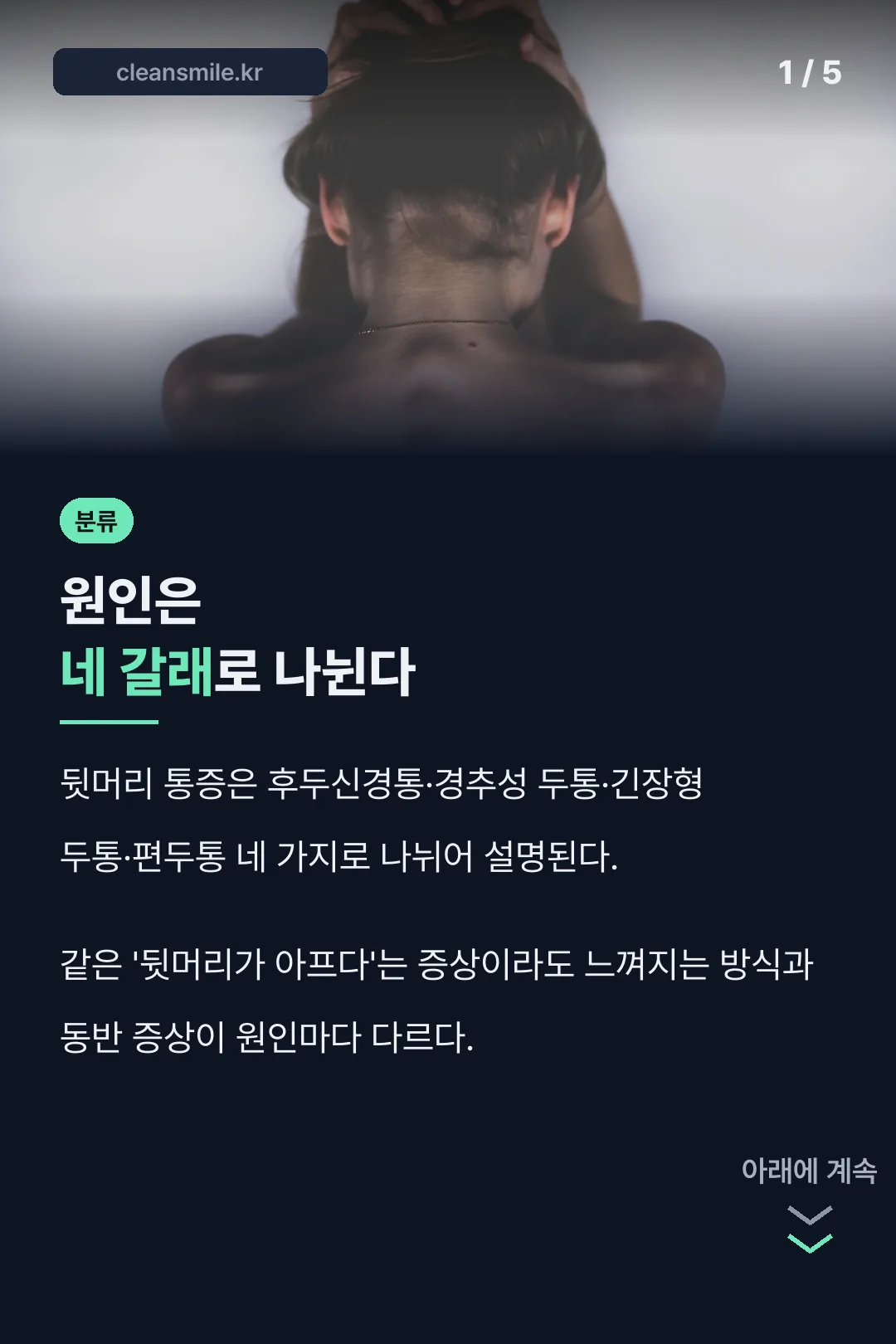 네 가지 원인 분류
