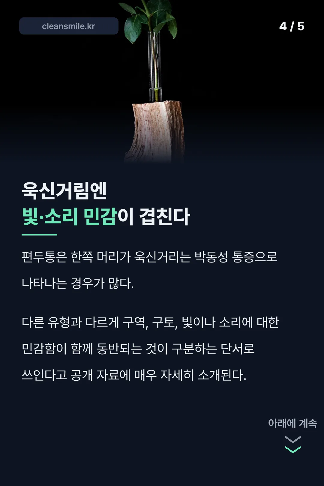 편두통 동반증상 설명