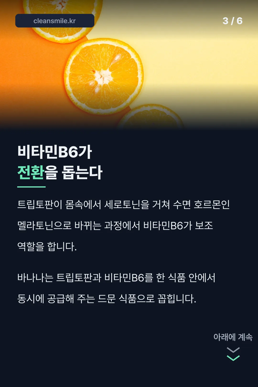 비타민B6 전환 보조