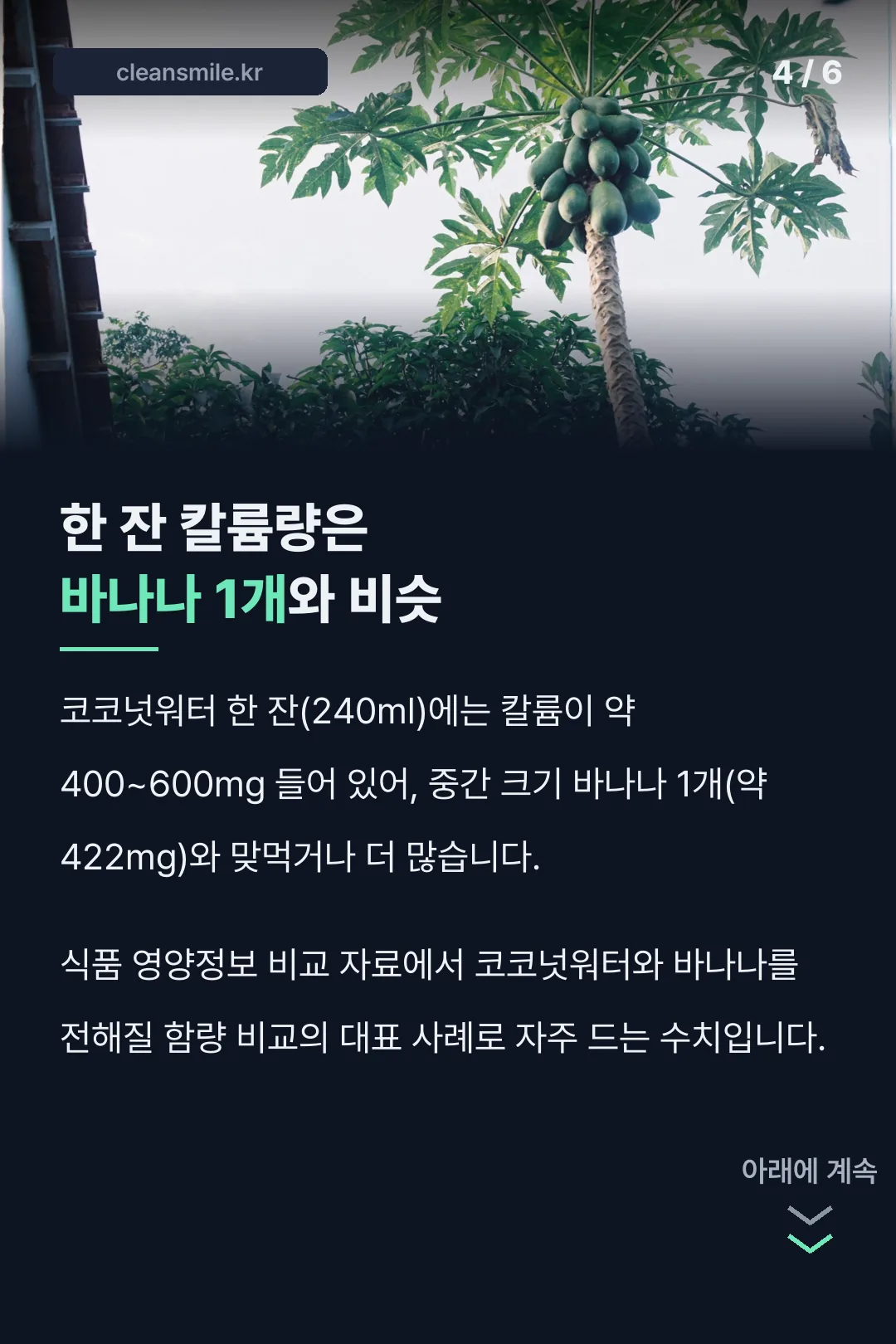 칼륨 함량과 바나나 비교