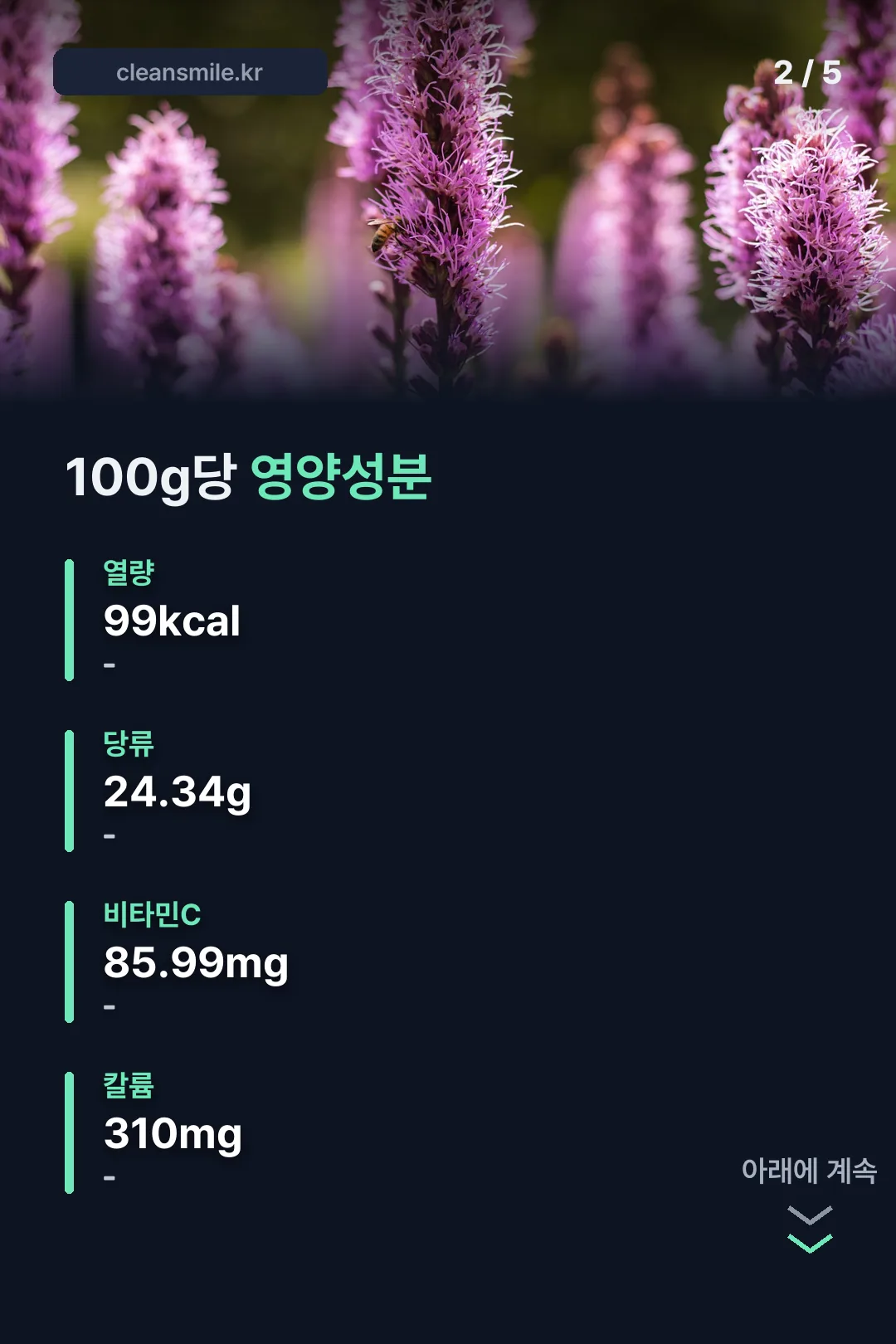 100g당 영양성분