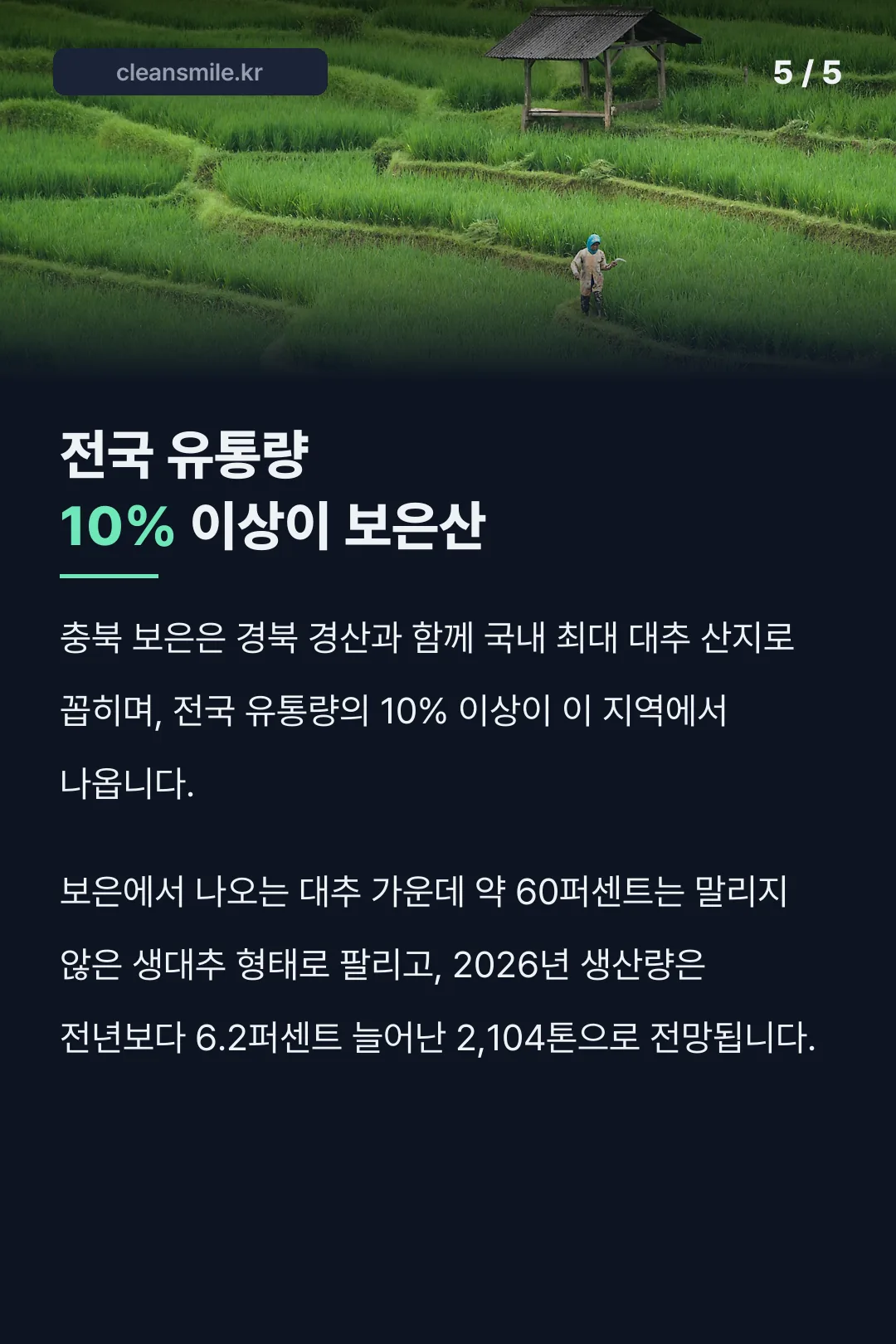 보은대추 산지 비중