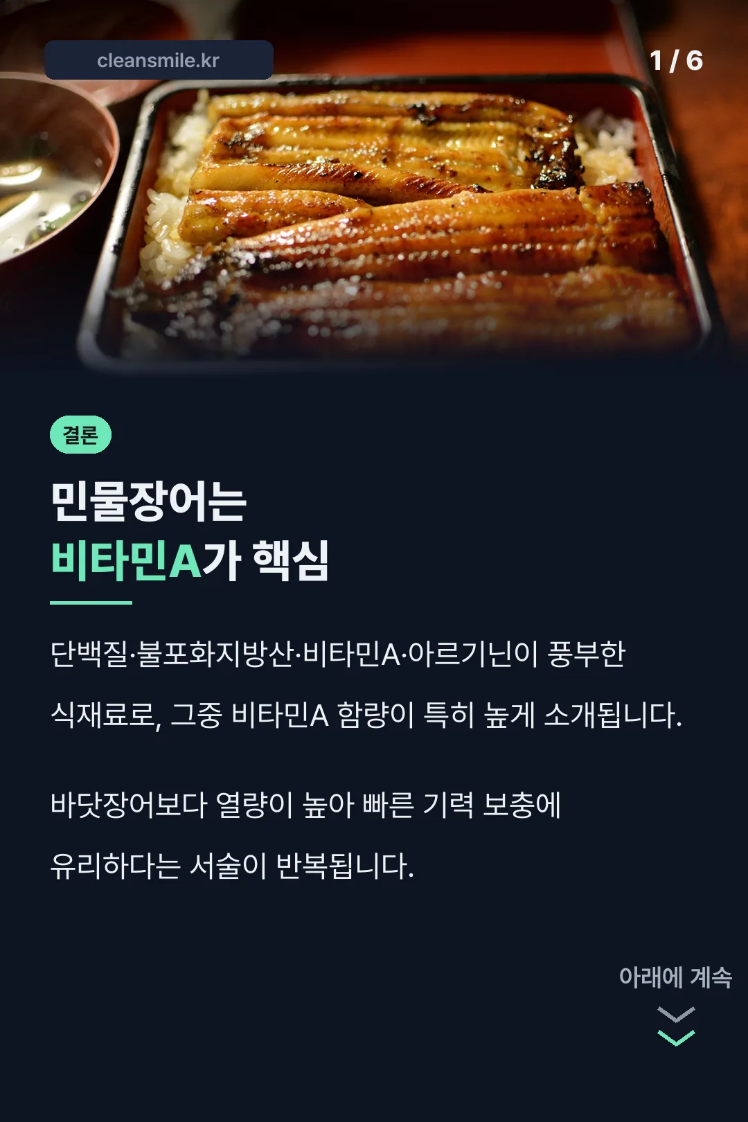 민물장어 영양성분 결론