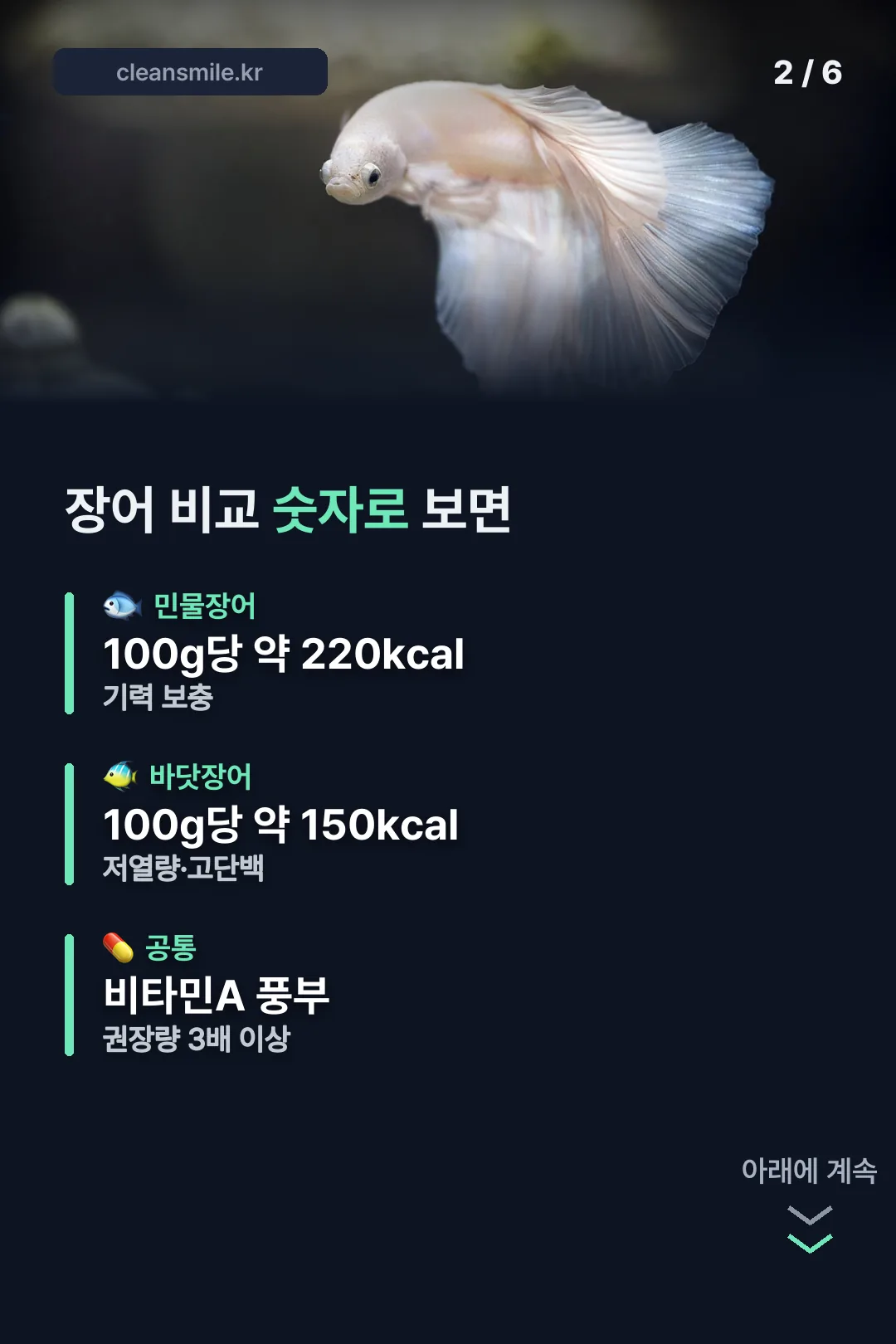 민물장어·바닷장어 비교