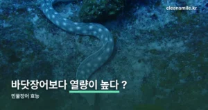 민물장어 효능 정리 썸네일