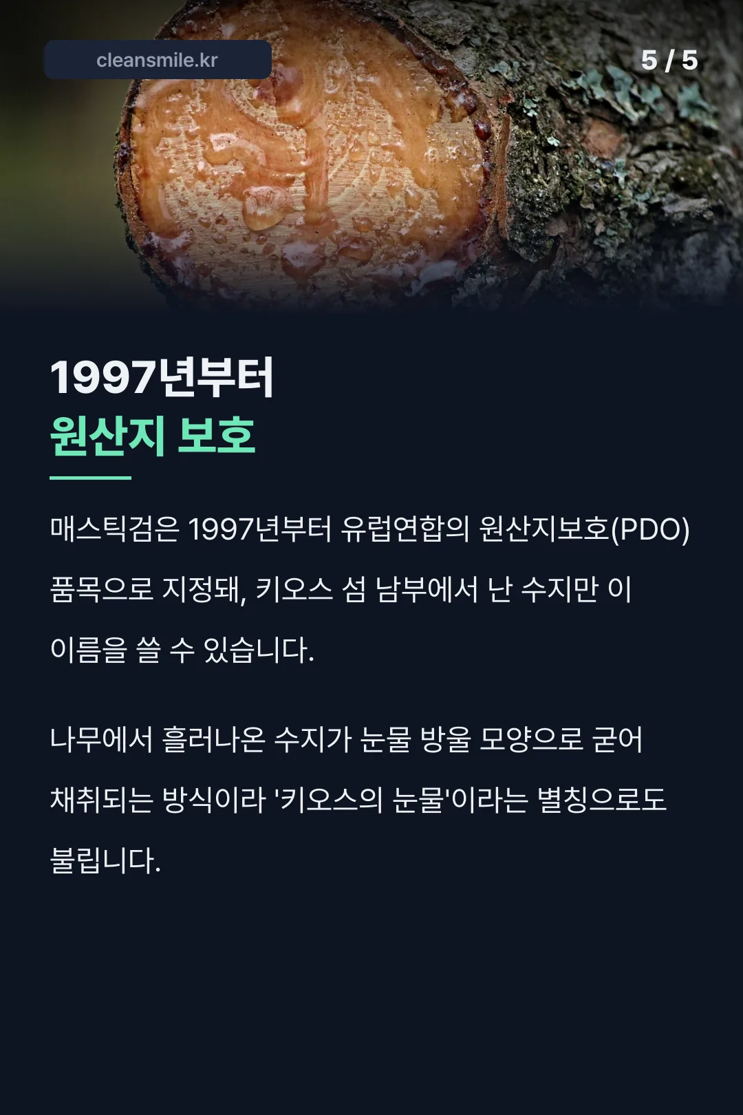 1997년 원산지보호 지정