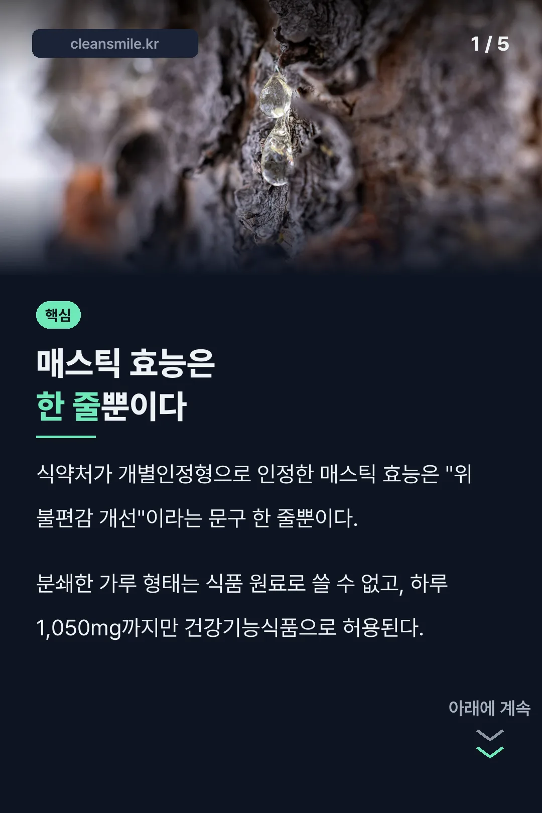 매스틱 효능 핵심 결론