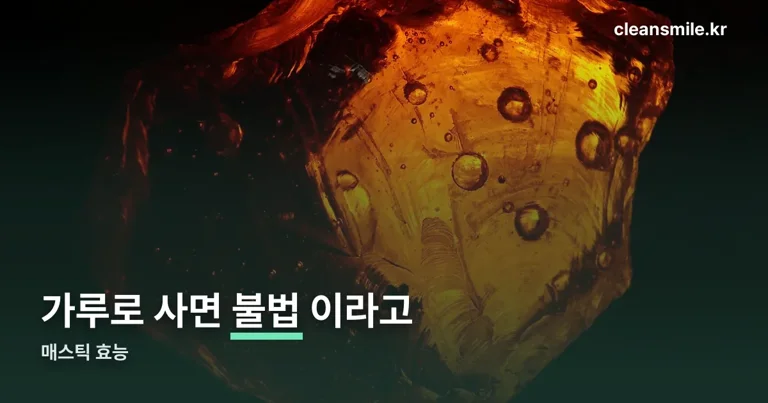 매스틱 효능 정리 썸네일