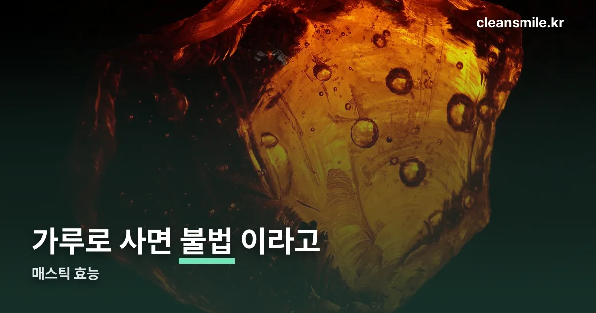 매스틱 효능 정리 썸네일
