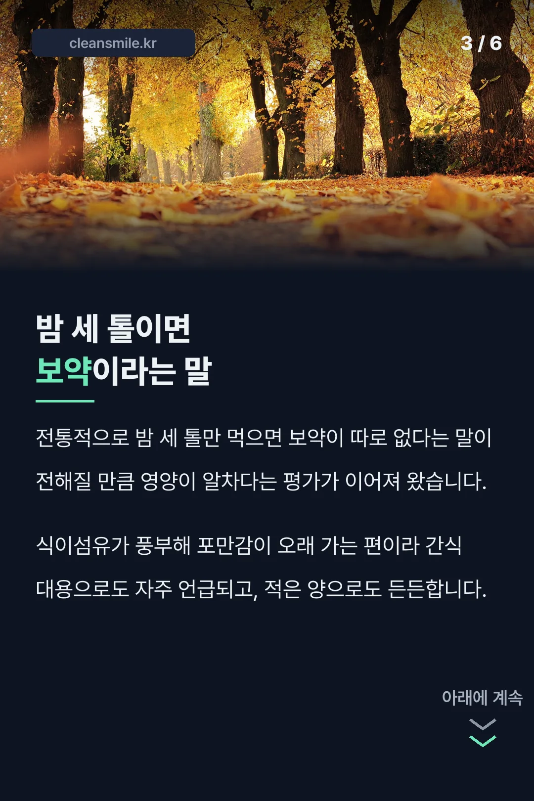 전통 속 밤의 가치