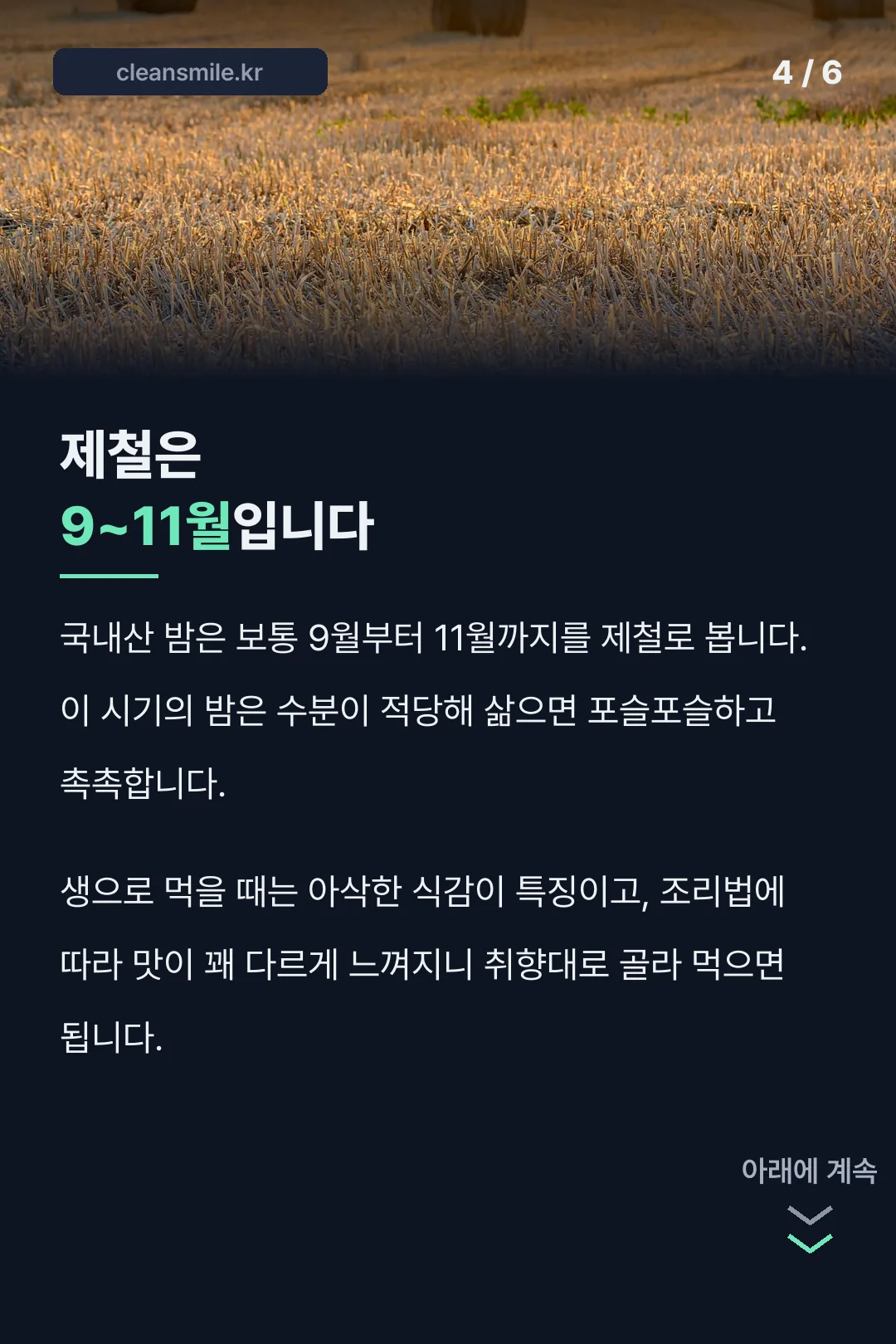 제철 9~11월 안내