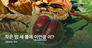 생율효능 정리 썸네일
