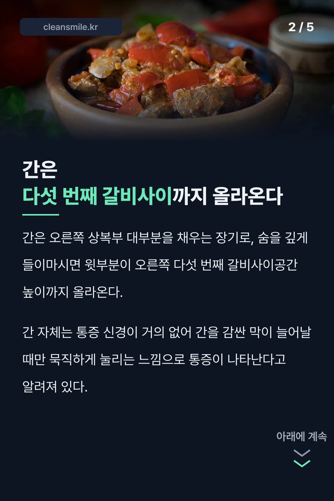 간은 다섯 번째 갈비사이까지 올라온다