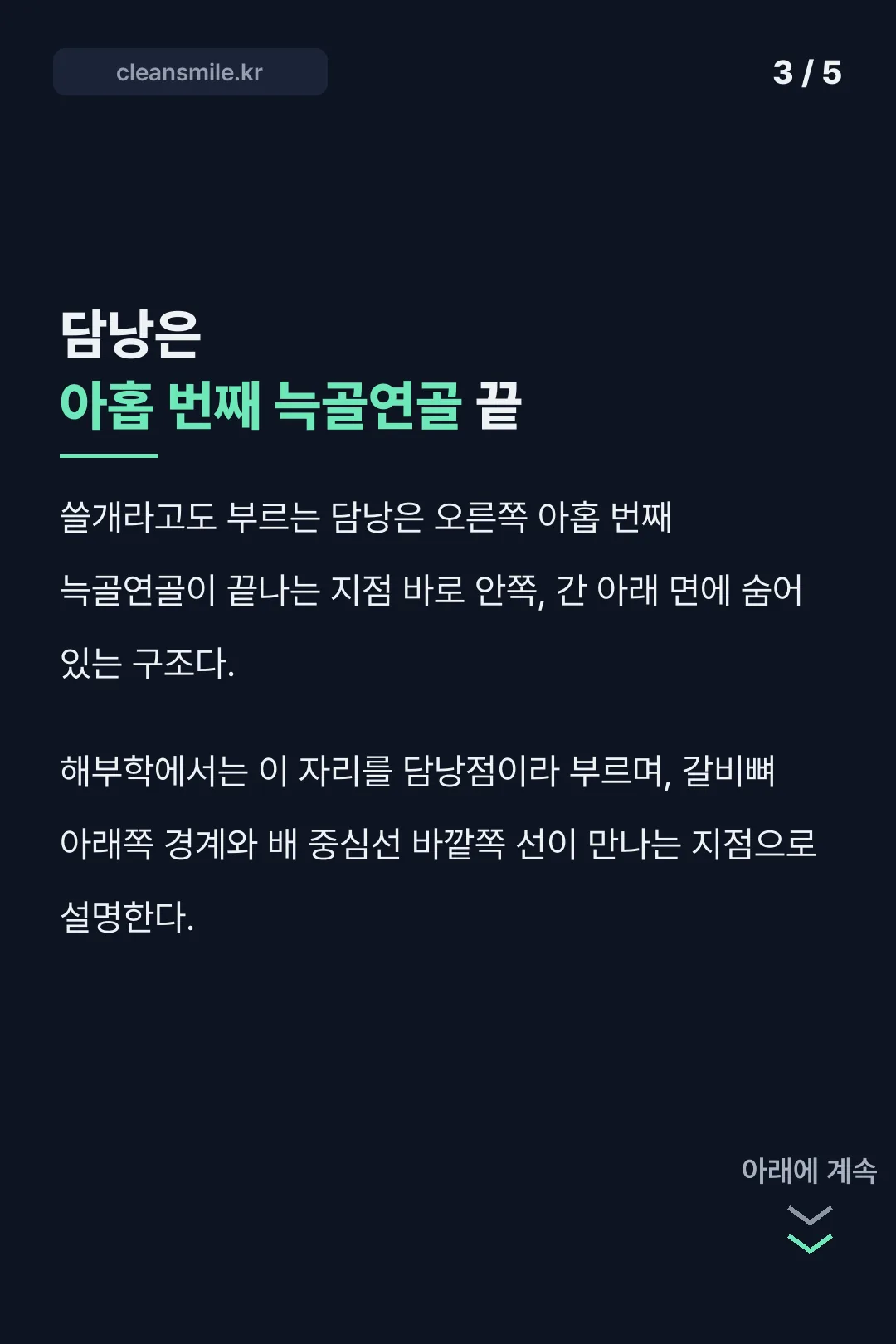 담낭은 아홉 번째 늑골연골 끝
