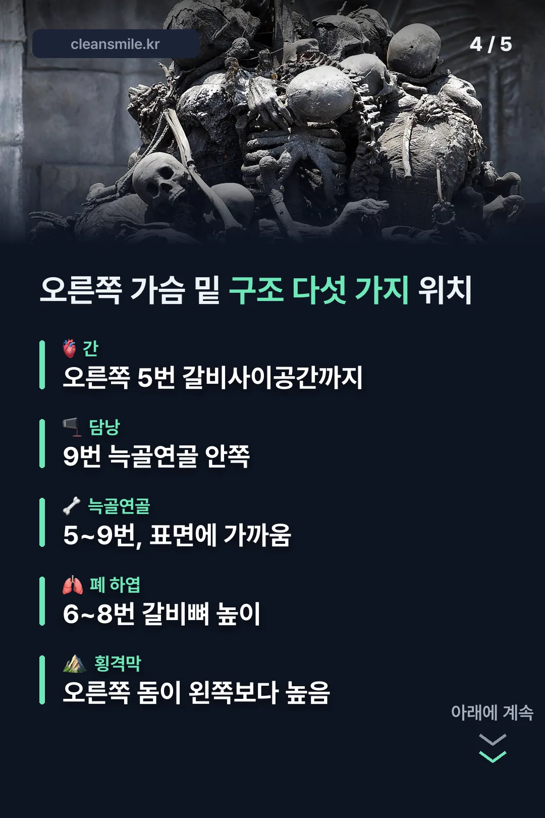 오른쪽 가슴 밑 구조 다섯 가지 위치