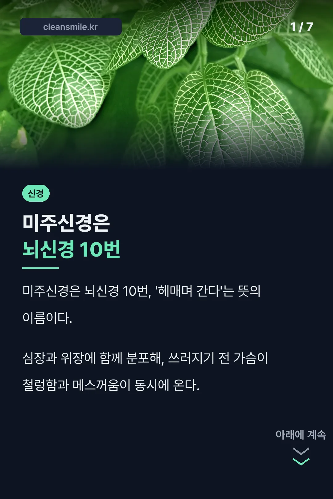 미주신경성 실신 개념 소개