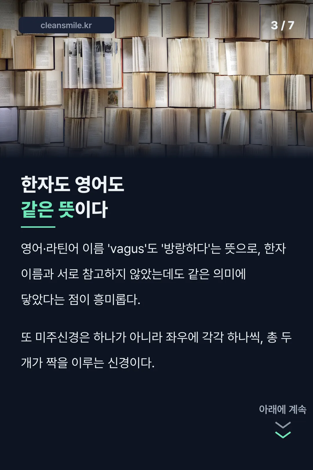 한자 영어 이름 유래 비교