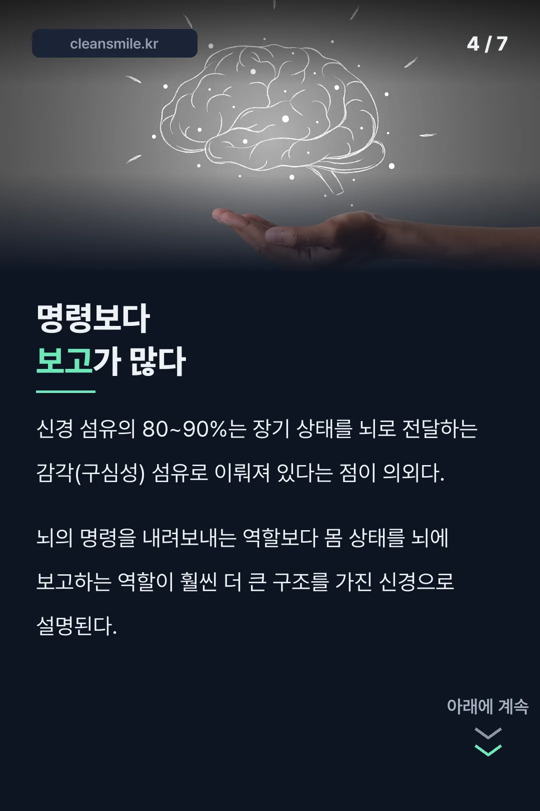 감각섬유 80~90% 구조